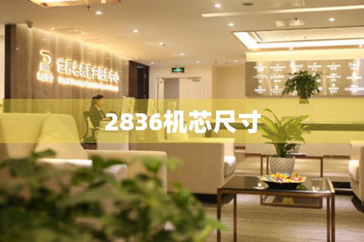 2836機(jī)芯尺寸