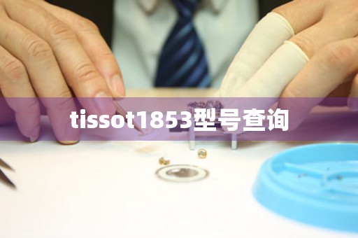 tissot1853型號查詢