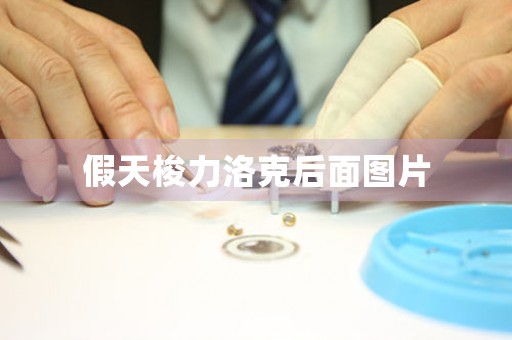 假天梭力洛克后面圖片