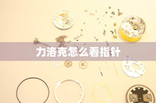 力洛克怎么看指針