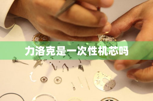 力洛克是一次性機(jī)芯嗎