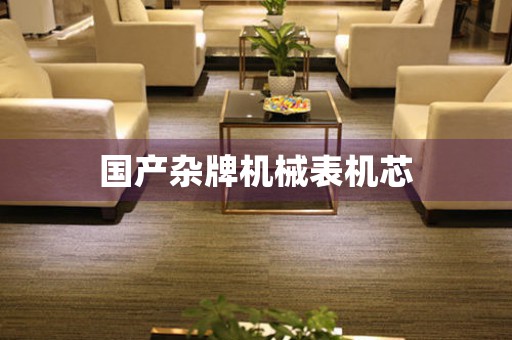 國產(chǎn)雜牌機械表機芯