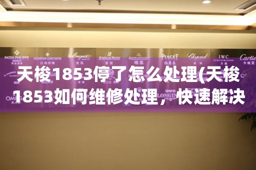 天梭1853停了怎么處理(天梭1853如何維修處理，快速解決停機問題！)