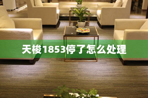 天梭1853停了怎么處理