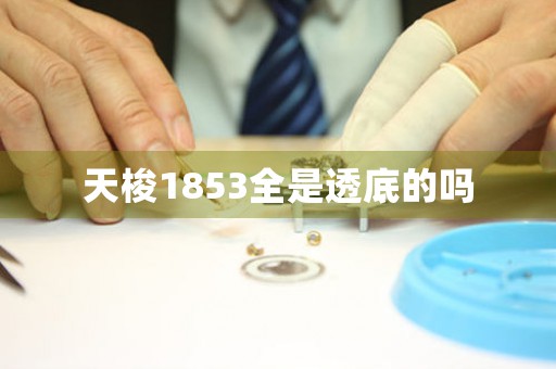 天梭1853全是透底的嗎