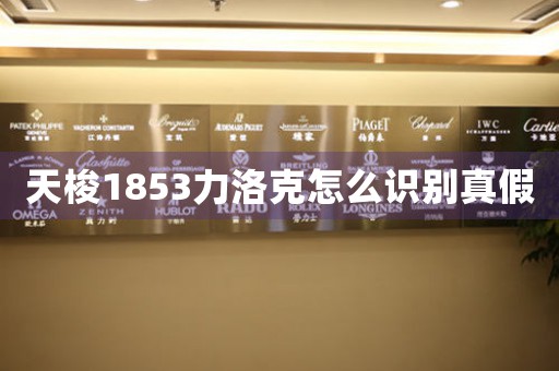 天梭1853力洛克怎么識別真假