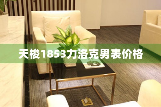 天梭1853力洛克男表價(jià)格