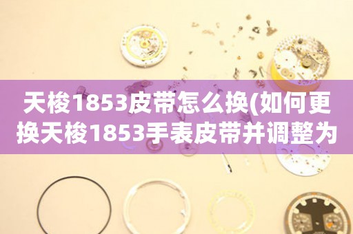 天梭1853皮帶怎么換(如何更換天梭1853手表皮帶并調(diào)整為中心位置)
