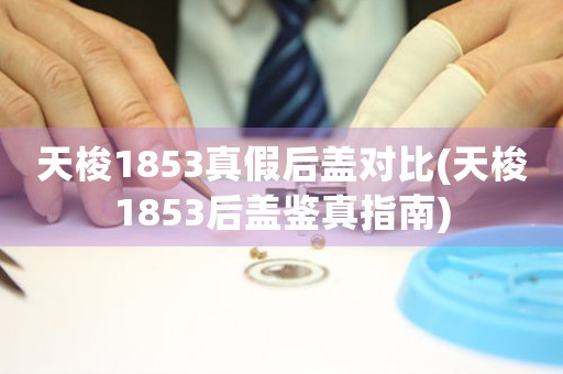 天梭1853真假后蓋對比(天梭1853后蓋鑒真指南)