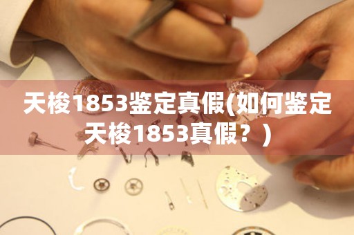 天梭1853鑒定真假(如何鑒定天梭1853真假？)