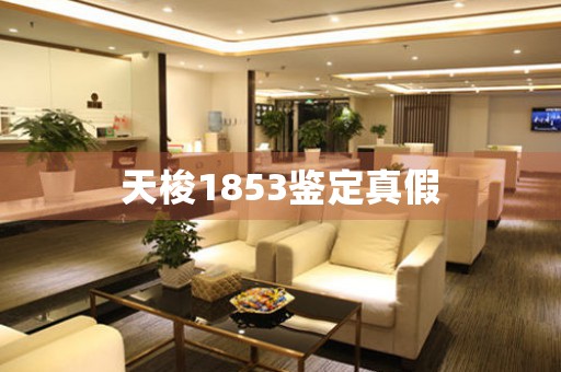 天梭1853鑒定真假