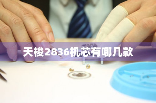 天梭2836機(jī)芯有哪幾款