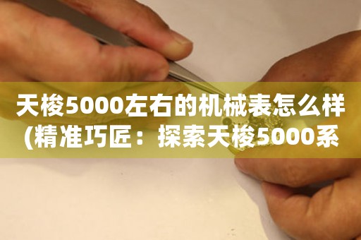 天梭5000左右的機(jī)械表怎么樣(精準(zhǔn)巧匠：探索天梭5000系機(jī)械表的卓越工藝)