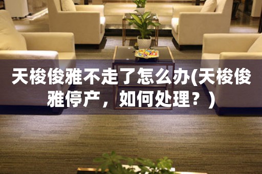 天梭俊雅不走了怎么辦(天梭俊雅停產(chǎn)，如何處理？)