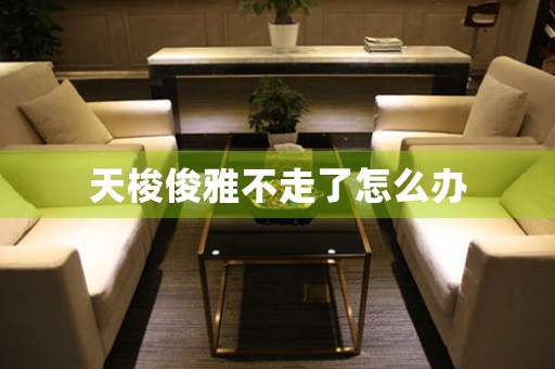 天梭俊雅不走了怎么辦
