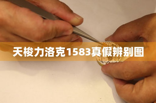 天梭力洛克1583真假辨別圖