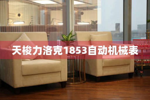 天梭力洛克1853自動(dòng)機(jī)械表
