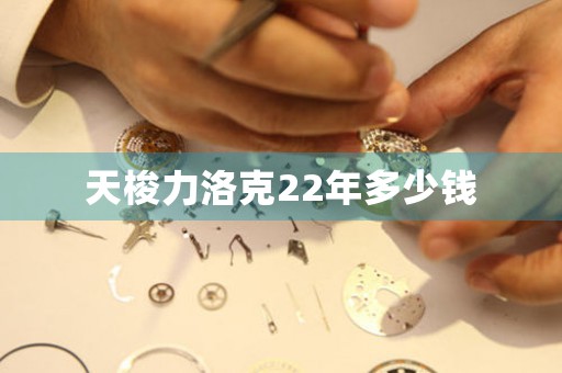 天梭力洛克22年多少錢(qián)