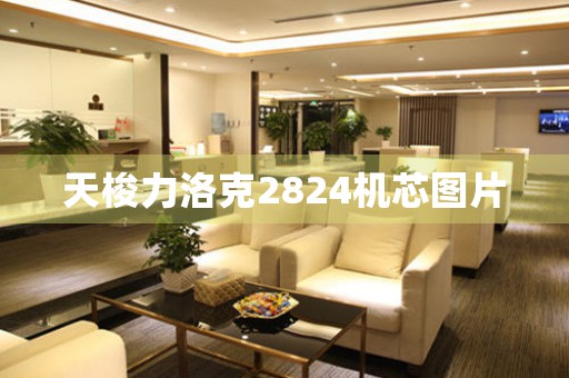 天梭力洛克2824機(jī)芯圖片
