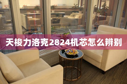 天梭力洛克2824機(jī)芯怎么辨別