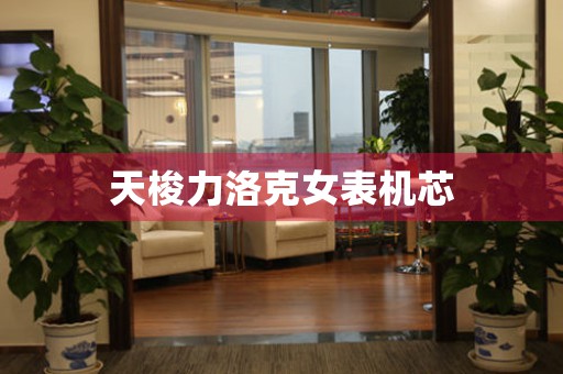 天梭力洛克女表機(jī)芯