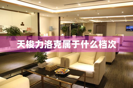 天梭力洛克屬于什么檔次
