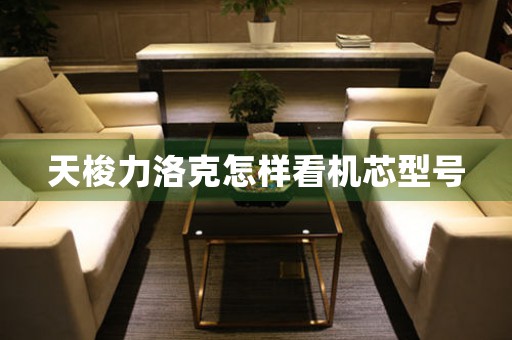 天梭力洛克怎樣看機(jī)芯型號