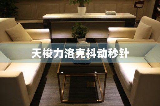 天梭力洛克抖動秒針