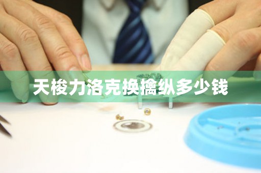 天梭力洛克換擒縱多少錢