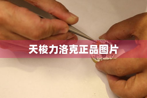 天梭力洛克正品圖片