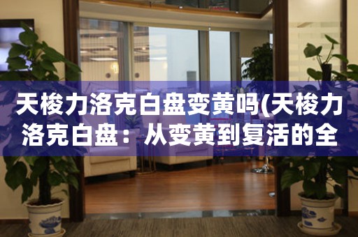天梭力洛克白盤(pán)變黃嗎(天梭力洛克白盤(pán)：從變黃到復(fù)活的全過(guò)程)