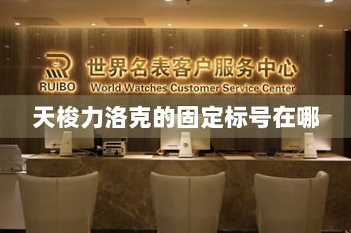 天梭力洛克的固定標(biāo)號在哪
