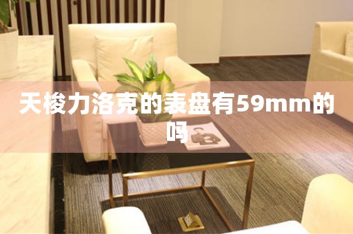 天梭力洛克的表盤有59mm的嗎