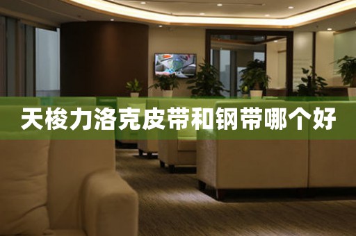 天梭力洛克皮帶和鋼帶哪個好