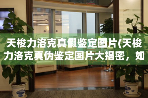 天梭力洛克真假鑒定圖片(天梭力洛克真?zhèn)舞b定圖片大揭密，如何辨別真假？)