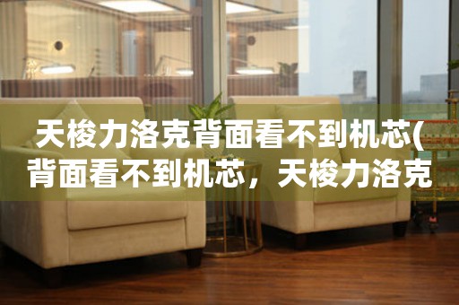 天梭力洛克背面看不到機芯(背面看不到機芯，天梭力洛克之謎)