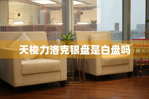 天梭力洛克銀盤是白盤嗎