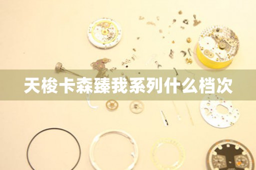 天梭卡森臻我系列什么檔次
