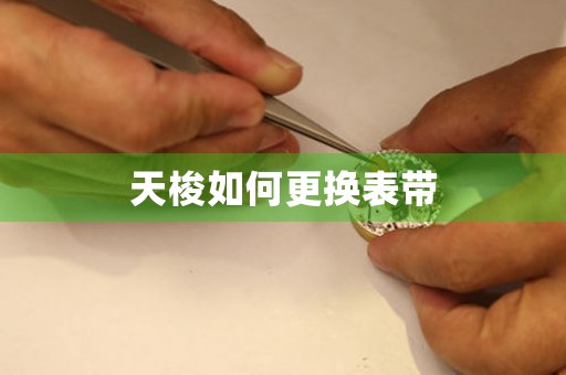 天梭如何更換表帶