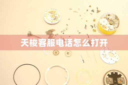 天梭客服電話(huà)怎么打開(kāi)