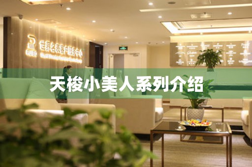 天梭小美人系列介紹