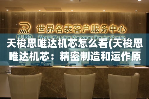 天梭思唯達機芯怎么看(天梭思唯達機芯：精密制造和運作原理)