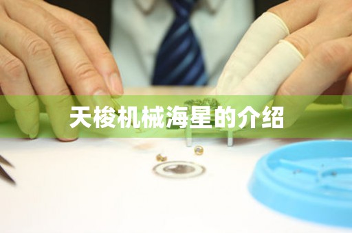 天梭機(jī)械海星的介紹