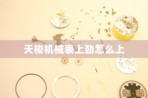天梭機(jī)械表上勁怎么上