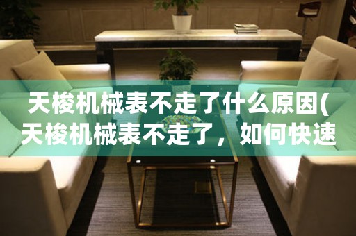 天梭機(jī)械表不走了什么原因(天梭機(jī)械表不走了，如何快速修復(fù)？)