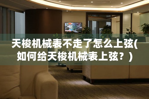 天梭機(jī)械表不走了怎么上弦(如何給天梭機(jī)械表上弦？)