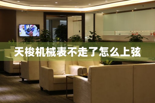 天梭機(jī)械表不走了怎么上弦