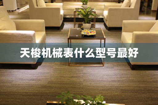 天梭機(jī)械表什么型號(hào)最好