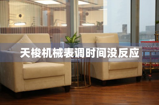 天梭機(jī)械表調(diào)時間沒反應(yīng)