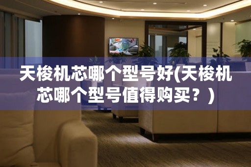 天梭機(jī)芯哪個(gè)型號(hào)好(天梭機(jī)芯哪個(gè)型號(hào)值得購買？)